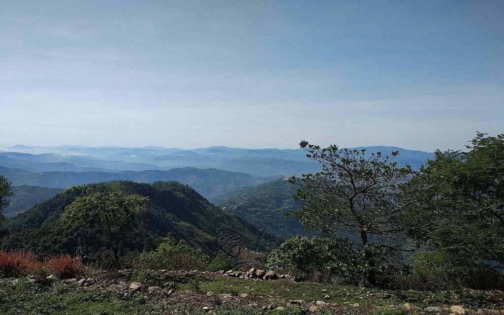 WhatsApp Image 2025-04-10 at 11.12.00 AM