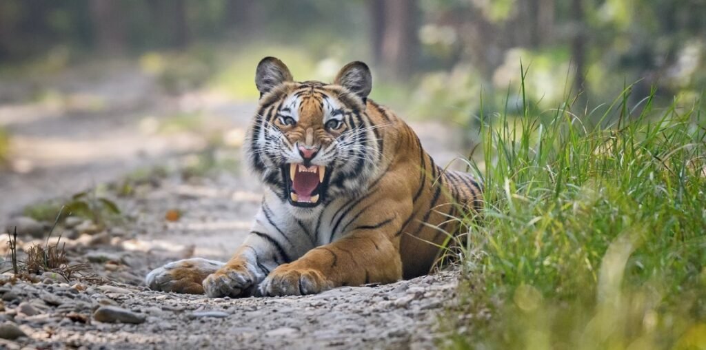 image - 2026-02-25T151303.603