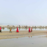 image - 2026-03-05T143919.574