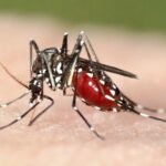 image - 2026-03-30T142952.450