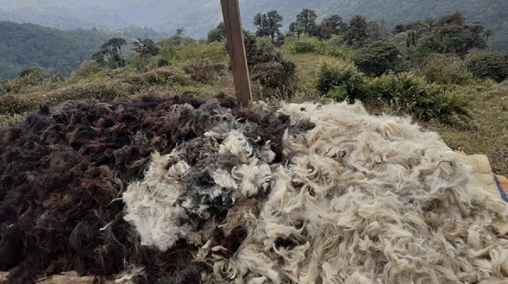 image - 2026-04-06T152007.682