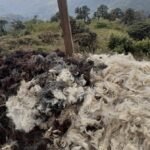 image - 2026-04-06T152007.682