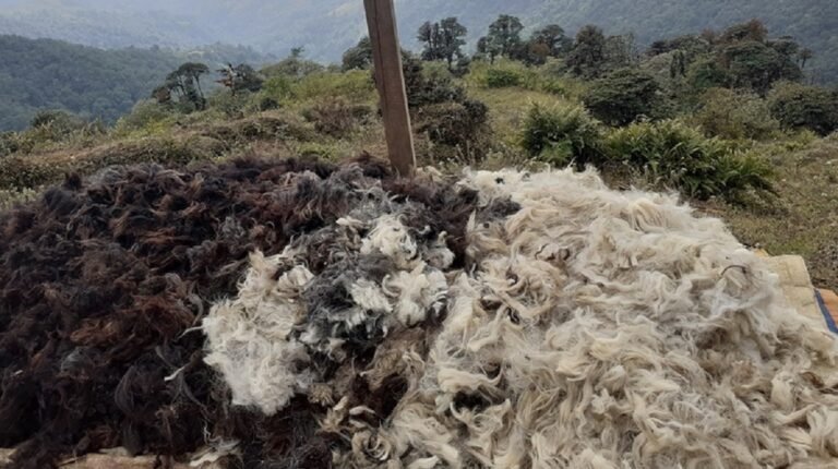 image - 2026-04-06T152007.682