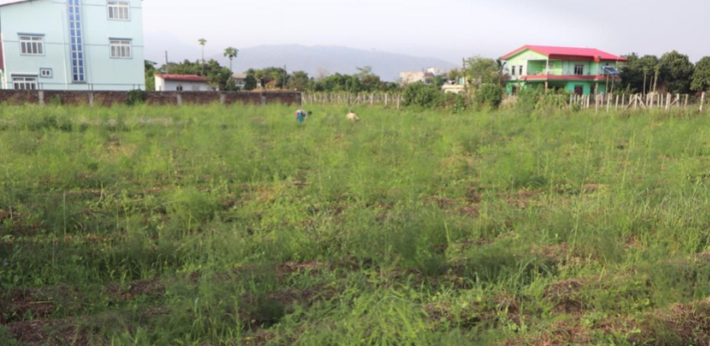 image - 2026-04-13T135027.258