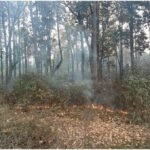 image - 2026-04-18T151810.395